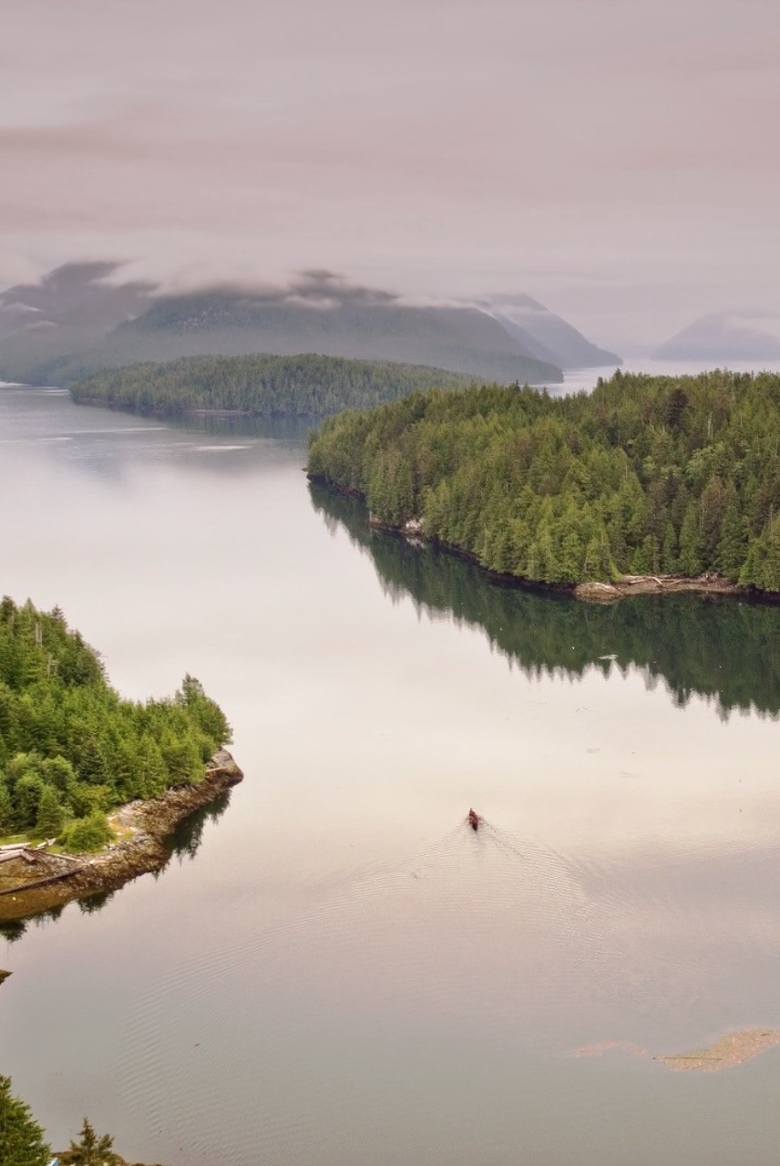 coastal first nations great bear image