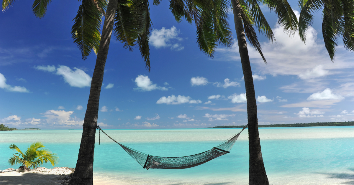 A hammock beneath palm trees next to beach image
