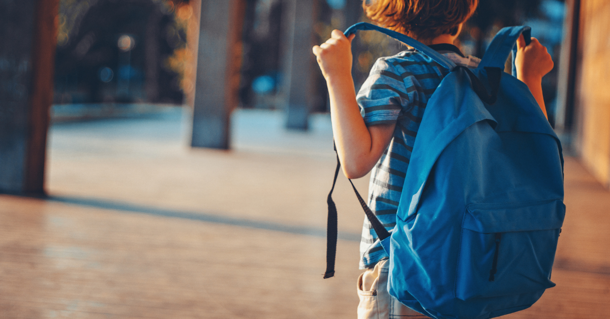little boy with school bag image